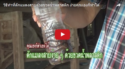 阿伯教你用寶特瓶就能捕獲整窩『蟑螂』，而且連碰都不用碰到牠們！