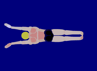 swim style 11