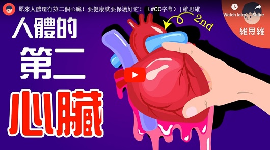 原來人體還有第二個心臟！少了它疾病滿身！